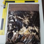 Cocaina_IMG-20240126-WA0002