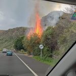 IMG_20240115_170834_624