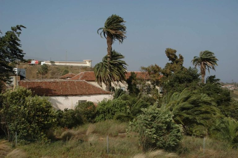 viento 2