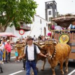 2-romeria-san-isidro-labrador-2023-tacoronte