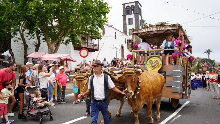 2-romeria-san-isidro-labrador-2023-tacoronte
