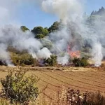 1145e3a6-fb7d-4922-8ab6-0cfeacfd928a_16-9-discover-aspect-ratio_default_0