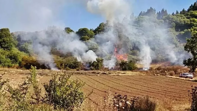 1145e3a6-fb7d-4922-8ab6-0cfeacfd928a_16-9-discover-aspect-ratio_default_0