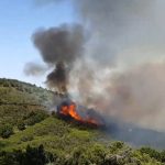 Conato-de-incendio-en-El-Rosario