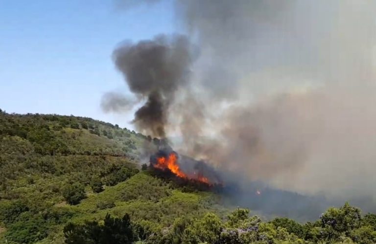 Conato-de-incendio-en-El-Rosario