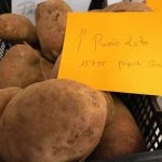 Snapinsta.app_364245633_594723749491373_1761916387657049525_n_1080