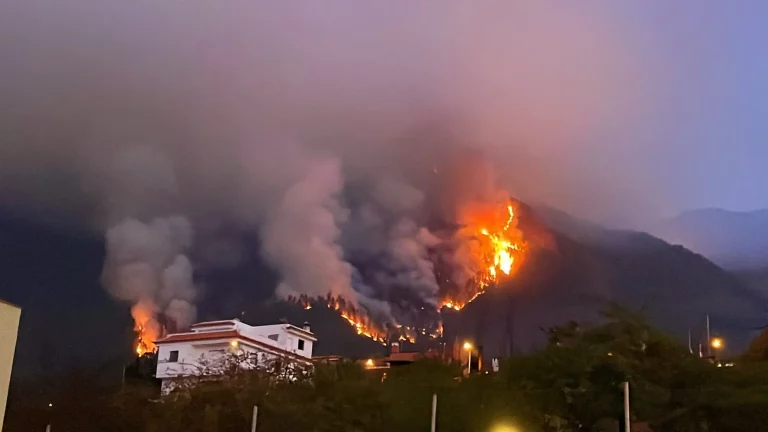 corona-forestal-tenerife-esta-siendo-muy-afectada-llamas-este-incendio-declarado-noche-martes_98