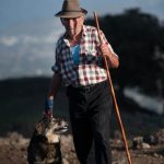 p410853afot1-682x1024