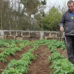 23bf46b5-05c8-41ab-9e69-37a01d5675d0_16-9-discover-aspect-ratio_default_1100162