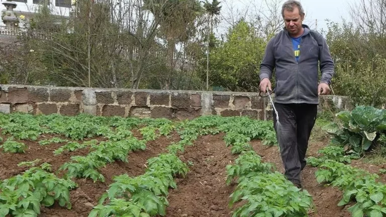 23bf46b5-05c8-41ab-9e69-37a01d5675d0_16-9-discover-aspect-ratio_default_1100162