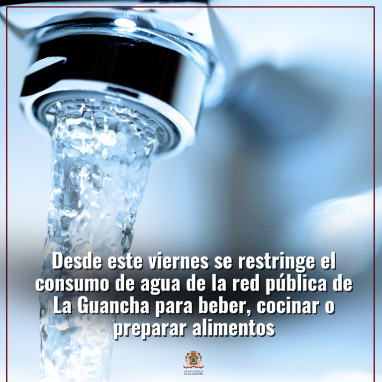 455307784_916207380545643_5024840622947872701_n