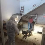 52ad2671-8fb8-4858-8adc-7c33da19ac48_16-9-discover-aspect-ratio_default_0