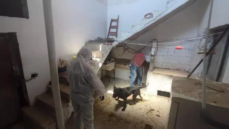 52ad2671-8fb8-4858-8adc-7c33da19ac48_16-9-discover-aspect-ratio_default_0