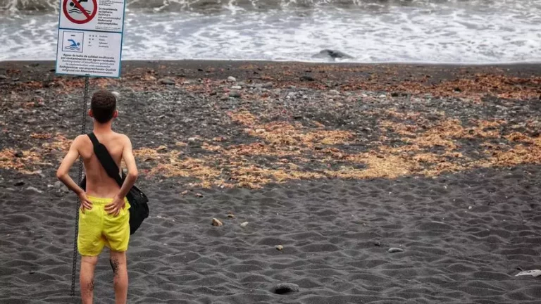 5a456f4b-1955-45eb-8c6b-f159ca6a611d_16-9-aspect-ratio_default_0