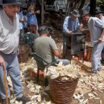 71f85ed1-bd54-42bf-beba-47f5a339c35d_source-aspect-ratio_default_0