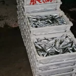 c435822a-939d-42e3-b5a8-225681dc3872_source-aspect-ratio_default_0