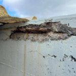 ec7437e1-6669-408f-9832-48fa9fd912ea_alta-libre-aspect-ratio_default_0