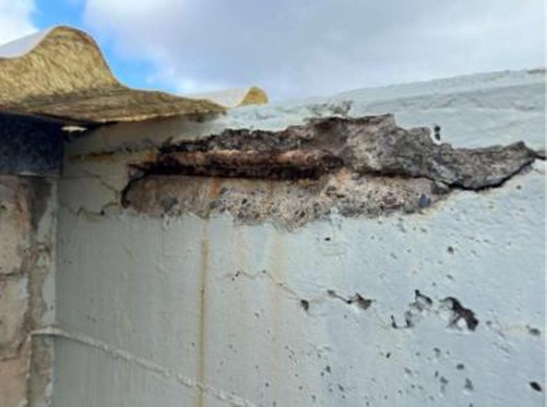 ec7437e1-6669-408f-9832-48fa9fd912ea_alta-libre-aspect-ratio_default_0