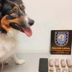 perro-con-droga
