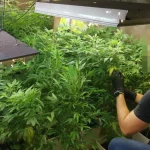 a00d5e1a-a6af-4af9-a651-5b52242104d8_16-9-discover-aspect-ratio_default_0