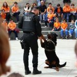 pag-25-perro-policia-1024x768