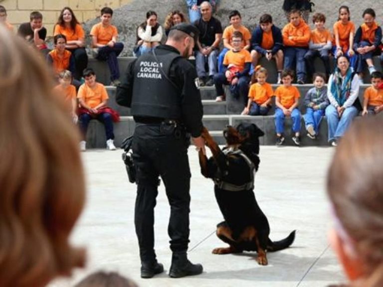 pag-25-perro-policia-1024x768