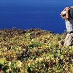 902f52af-4a3a-40da-8dc0-33aae9beb4fb_16-9-discover-aspect-ratio_default_0