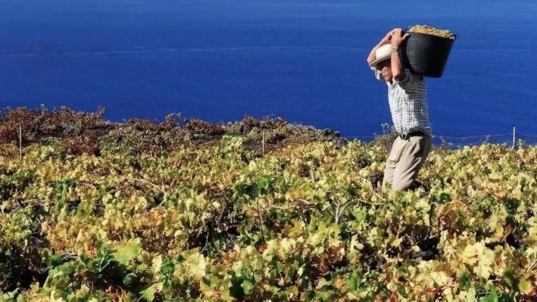 902f52af-4a3a-40da-8dc0-33aae9beb4fb_16-9-discover-aspect-ratio_default_0