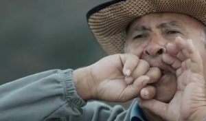 las-diferentes-lenguas-del-silbo-gomero-980x675-1-980x575