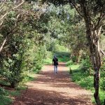 sendero-la-laguna-de-valleseco