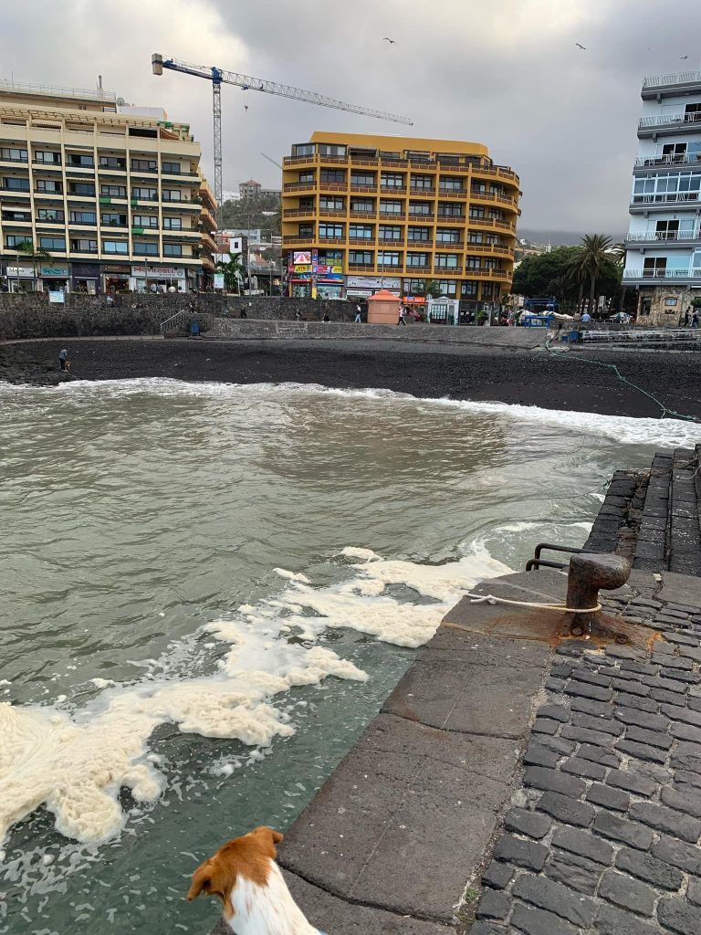 JUEVES-pagina-27-foto-principal