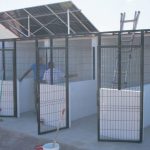 albergue-animales-Guia-1024x598