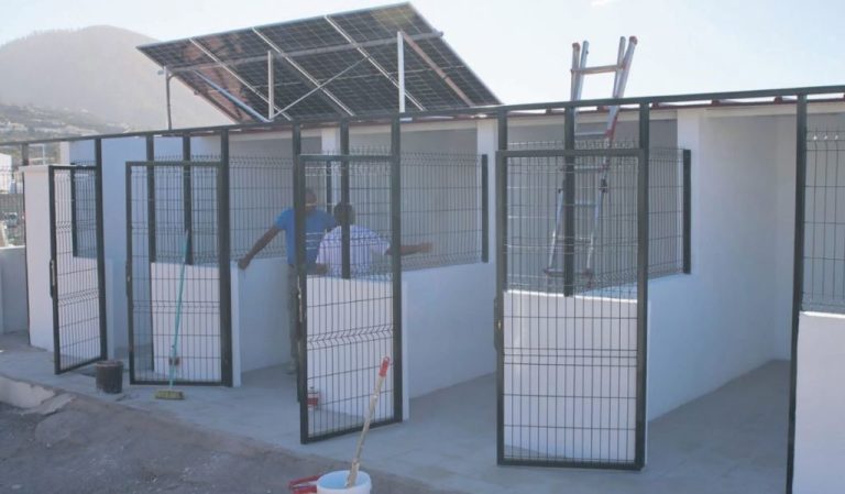 albergue-animales-Guia-1024x598