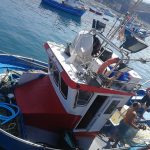 barcos_de_pesca_1_2