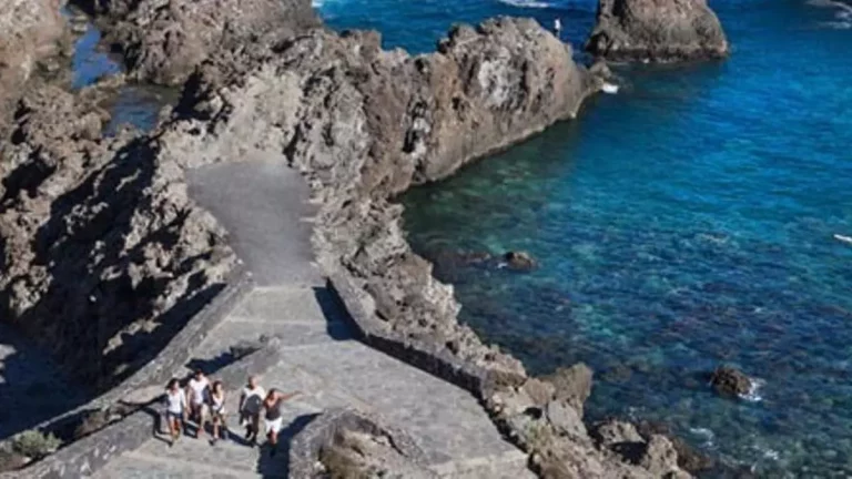 ce72e237-bda6-4470-902