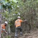 8f0d9cf6-91ba-4380-8b1b-afd023a85500_16-9-discover-aspect-ratio_default_0