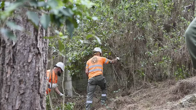 8f0d9cf6-91ba-4380-8b1b-afd023a85500_16-9-discover-aspect-ratio_default_0