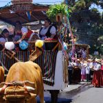 02_ROMERIA-TACORONTE-2024