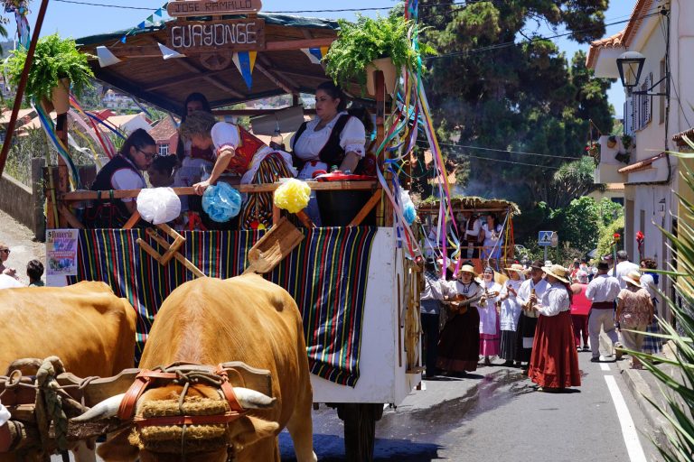 02_ROMERIA-TACORONTE-2024