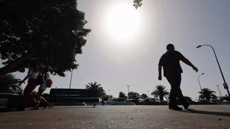 14844818-2828-4782-876d-e8894d17ec8d_16-9-discover-aspect-ratio_default_0