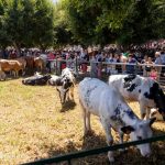 354272726_657815963055523_3025355684426650429_n