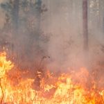 L_152030_incendio-en-tenerife-las-principales-zonas-turisticas-estan-alejadas