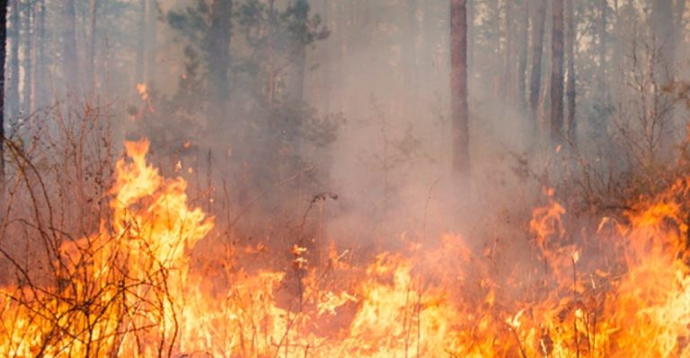 L_152030_incendio-en-tenerife-las-principales-zonas-turisticas-estan-alejadas