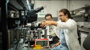 Captura de pantalla 2025-07-28 103853