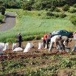 aaded035-ae09-4c56-aa35-b20f0559466d_16-9-discover-aspect-ratio_default_0