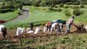 aaded035-ae09-4c56-aa35-b20f0559466d_16-9-discover-aspect-ratio_default_0