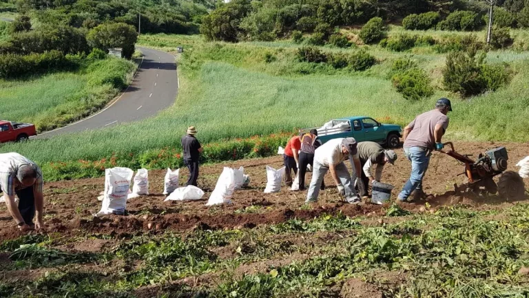 aaded035-ae09-4c56-aa35-b20f0559466d_16-9-discover-aspect-ratio_default_0