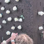 0d858768-1659-4110-86d7-766069e76a8b_16-9-discover-aspect-ratio_default_0