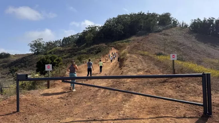 41ba5920-370f-4bc3-9181-a91523199060_16-9-aspect-ratio_default_0