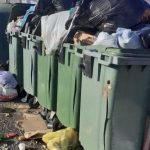 contenedores-Arico-1024x683